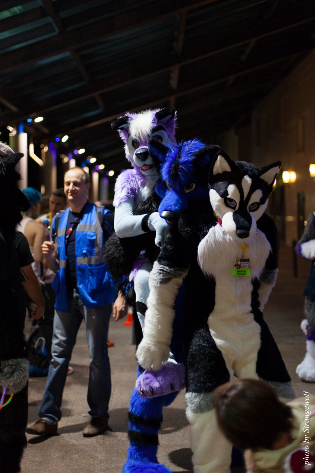 full image IMG_9975-lr16t.jpg
