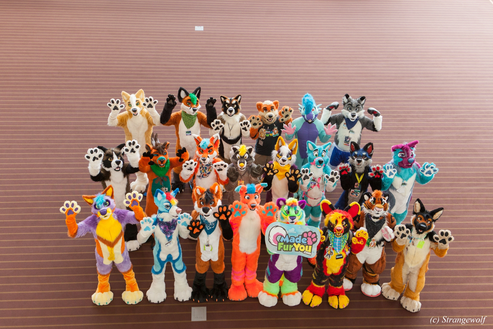 full image IMG_3570-lr19t.jpg