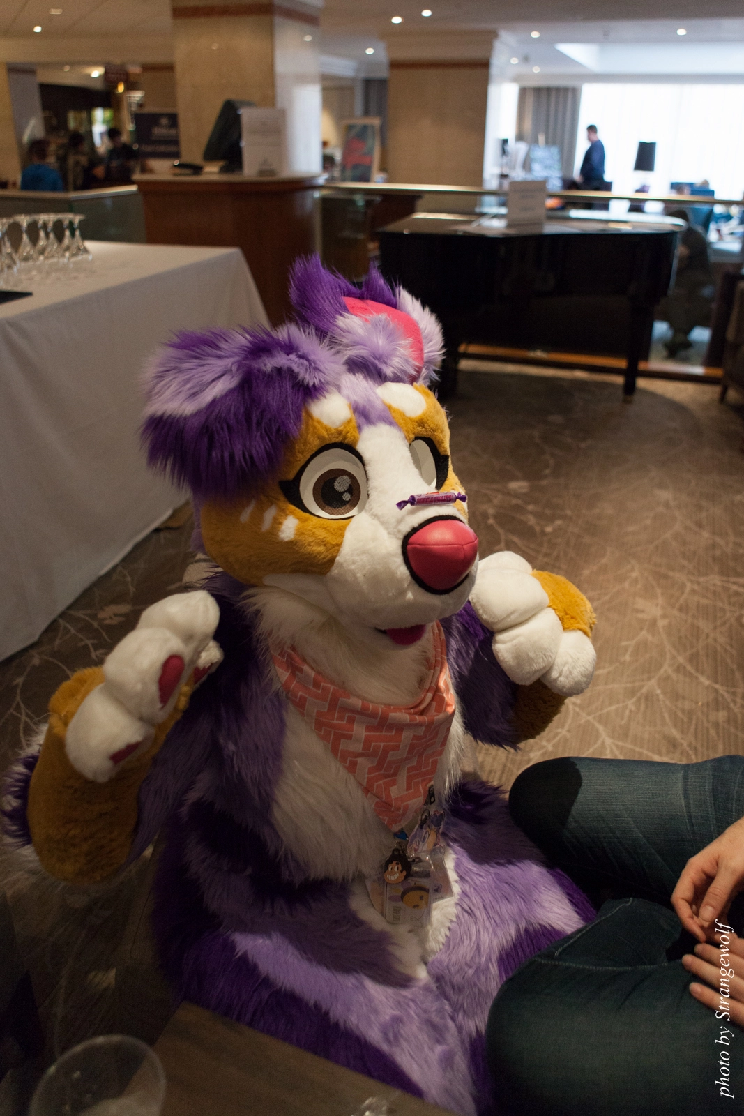 full image IMG_7538-lr16t.jpg