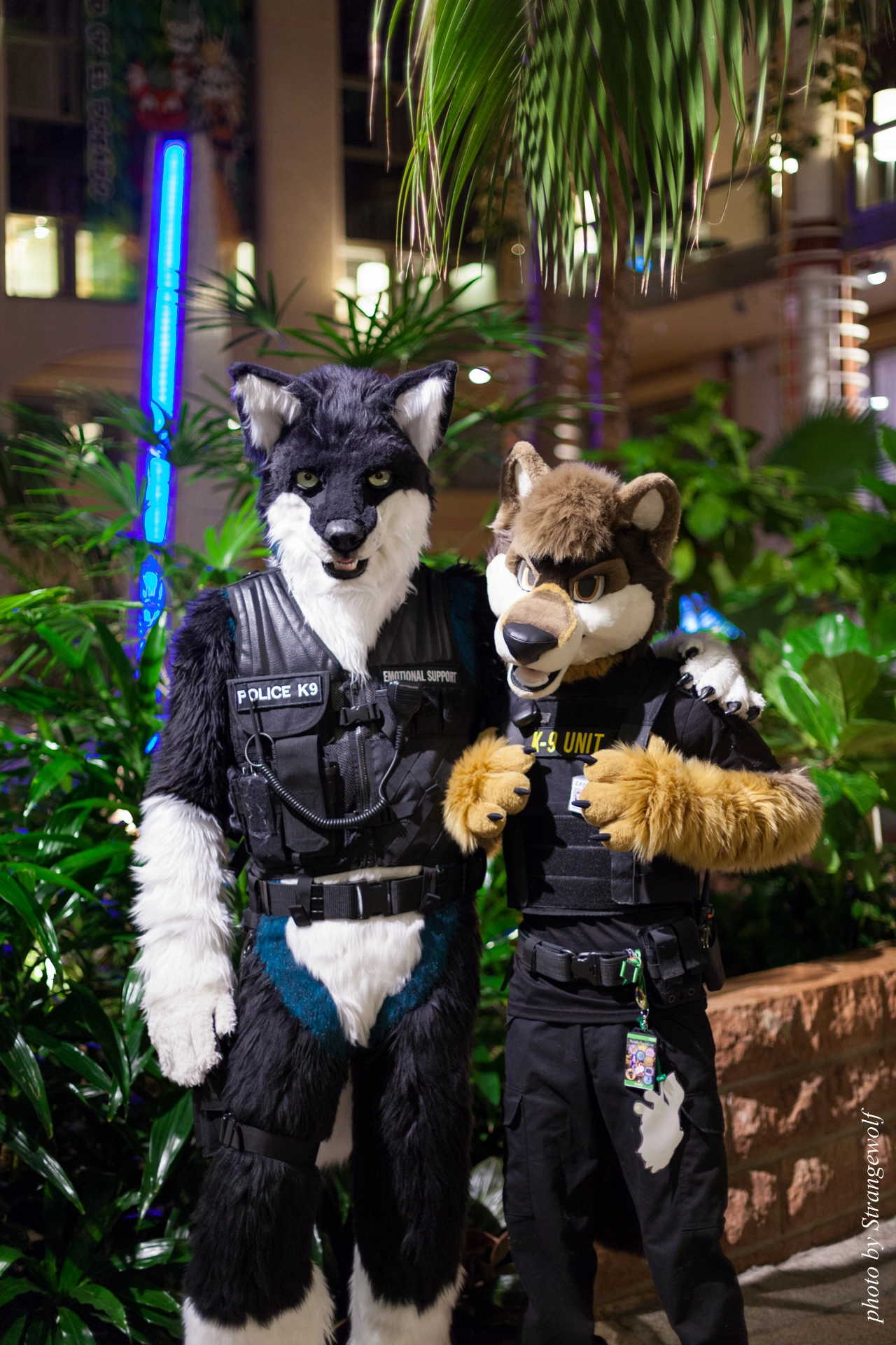 full image IMG_0731-lr19t.jpg