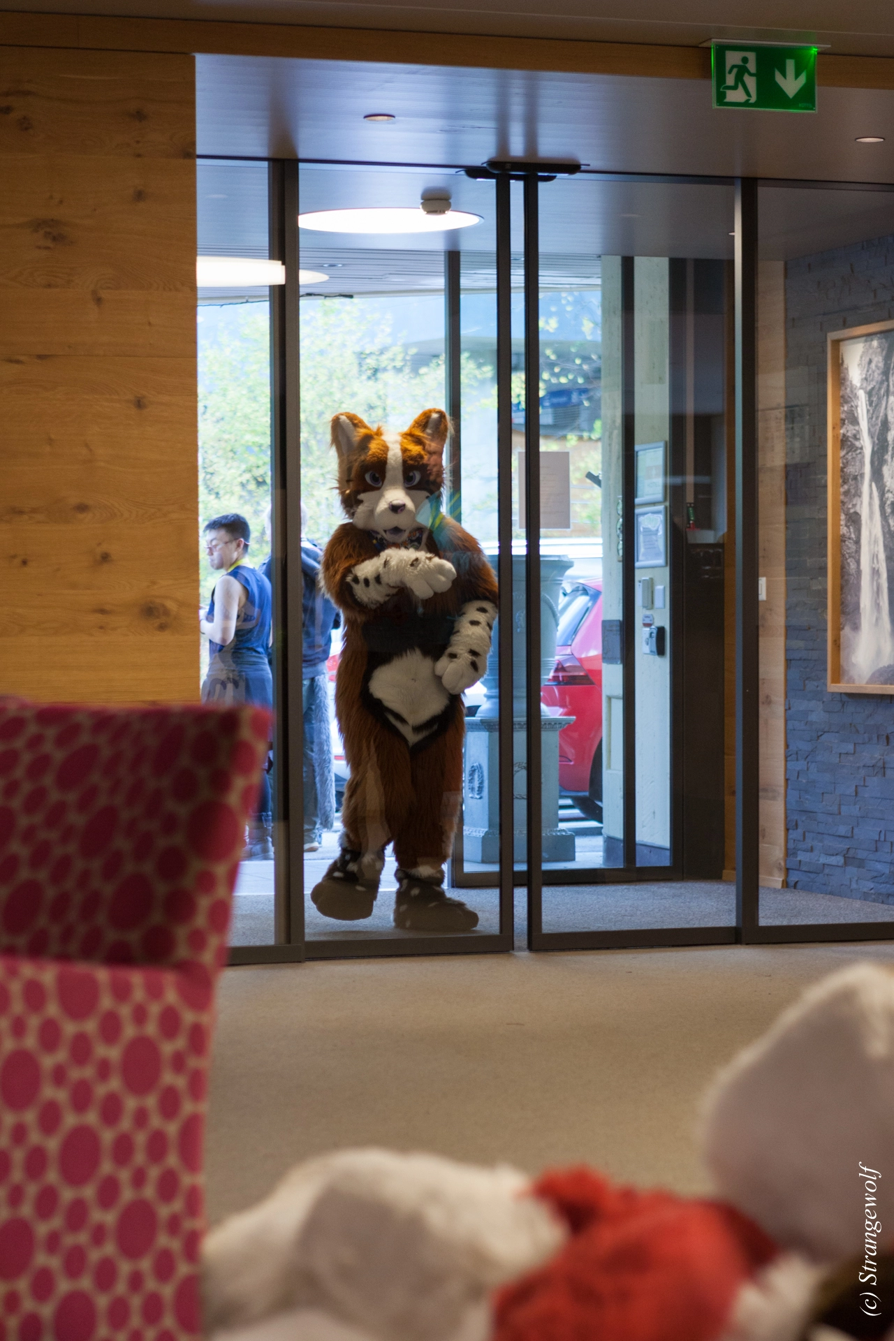 full image IMG_7147-lr19t.jpg