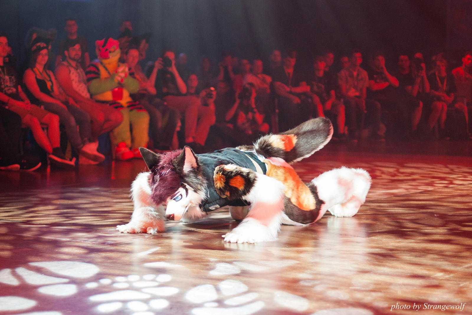 full image IMG_9424-lr16t.jpg