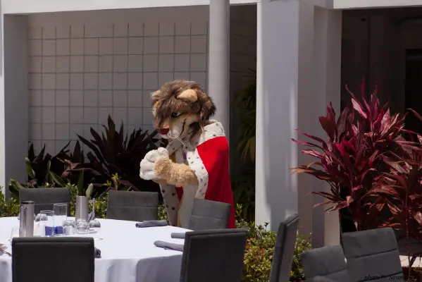 IMG_8801-lr16t.jpg of ESG/ESG2015/