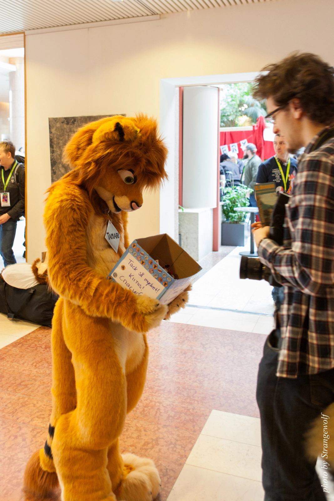 full image IMG_2445-lr16t.jpg