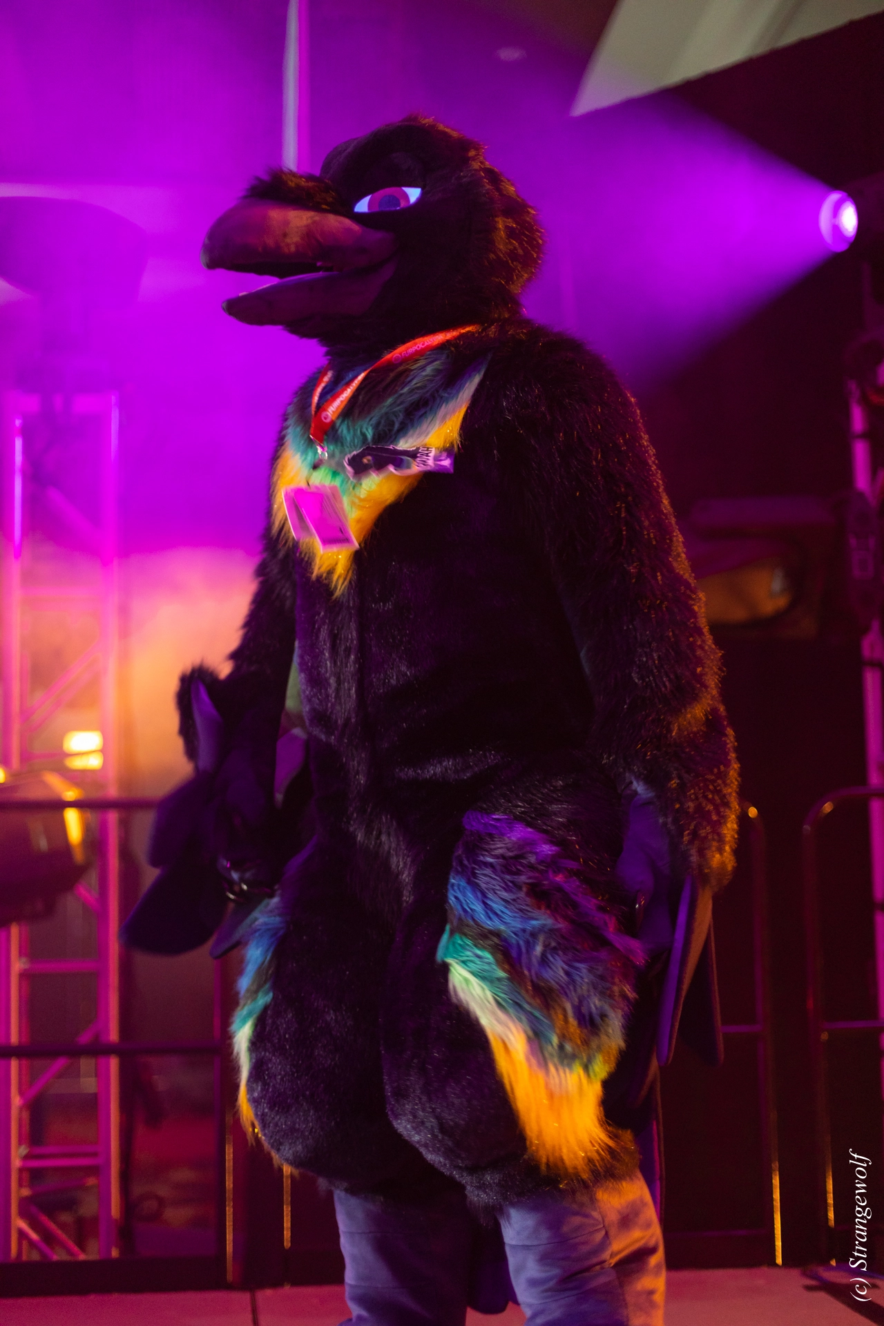 full image 1R3A0676-lr19t.jpg