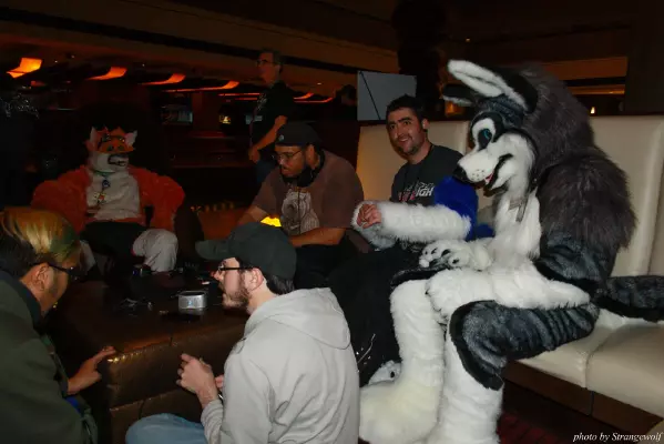 IMG_0835-lr.jpg of MFF/MFF2013/