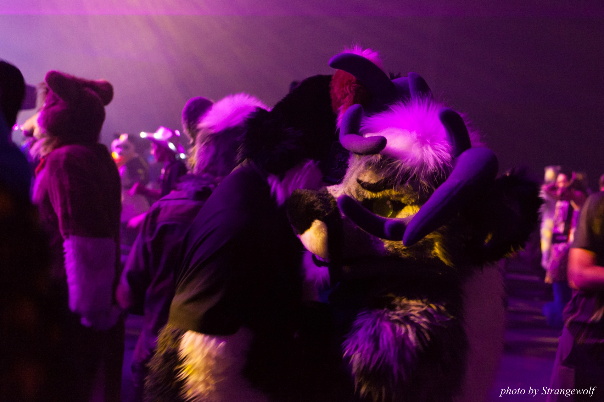 full image IMG_0111-lr19t.jpg