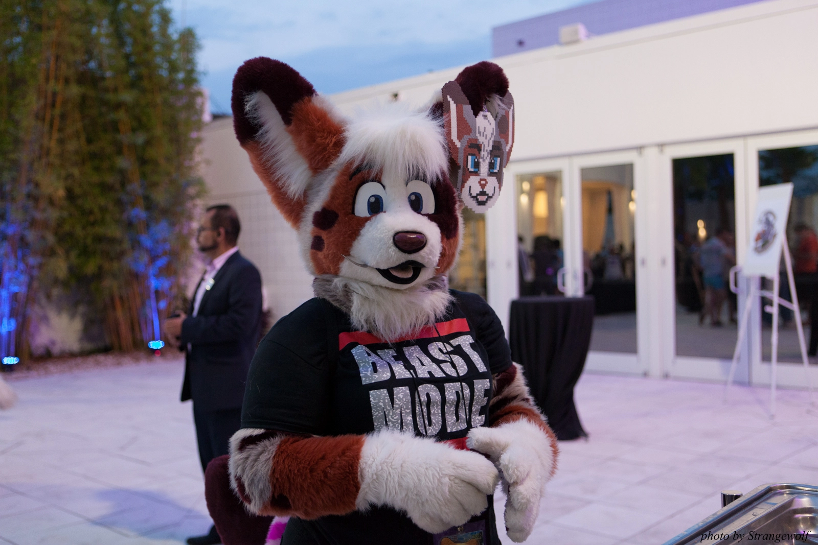 full image IMG_8409-lr16t.jpg