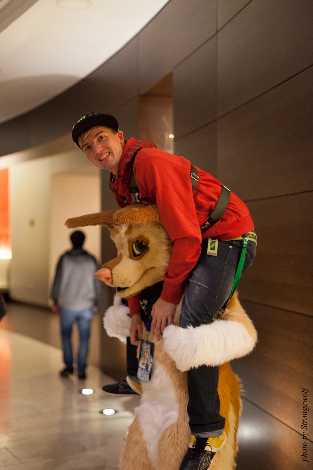 full image IMG_4227-lr16t.jpg