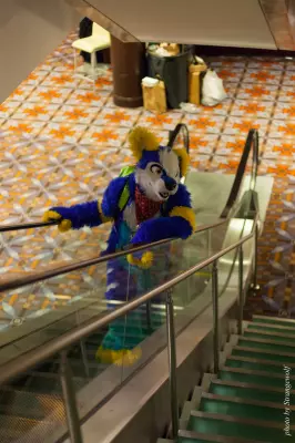 IMG_0910-lr16t.jpg of MFF/MFF2016/Photoshoot-USH/