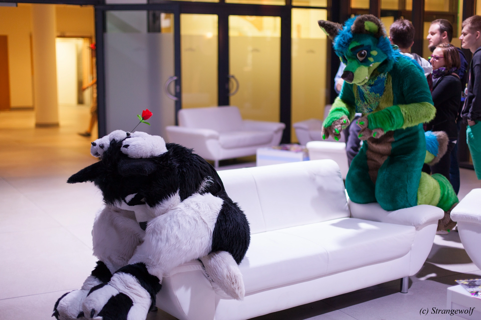 full image IMG_5374-lr19t.jpg