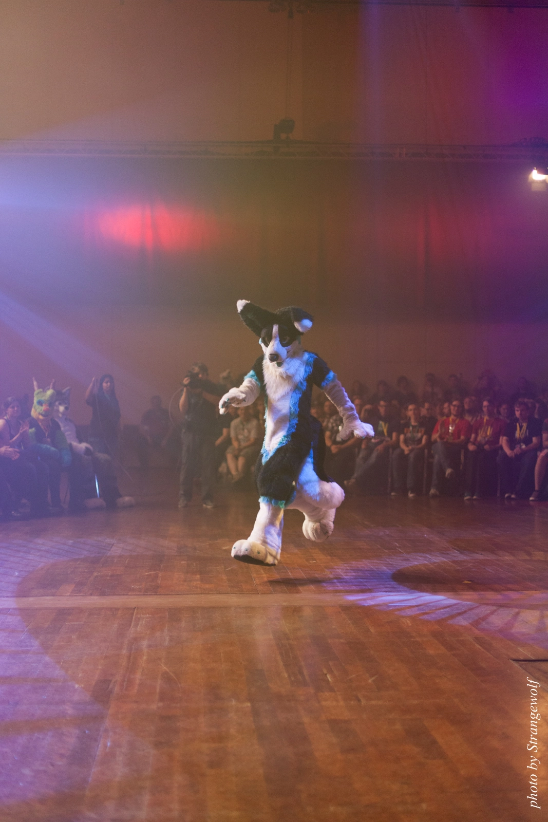 full image IMG_2674-lr16t.jpg