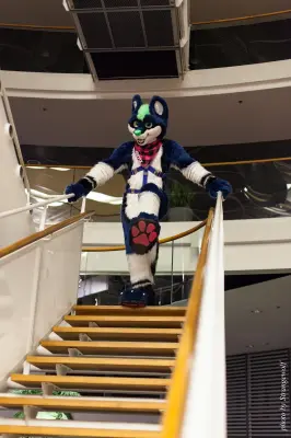 IMG_1898-lr16t.jpg of NFC/NFC2017/