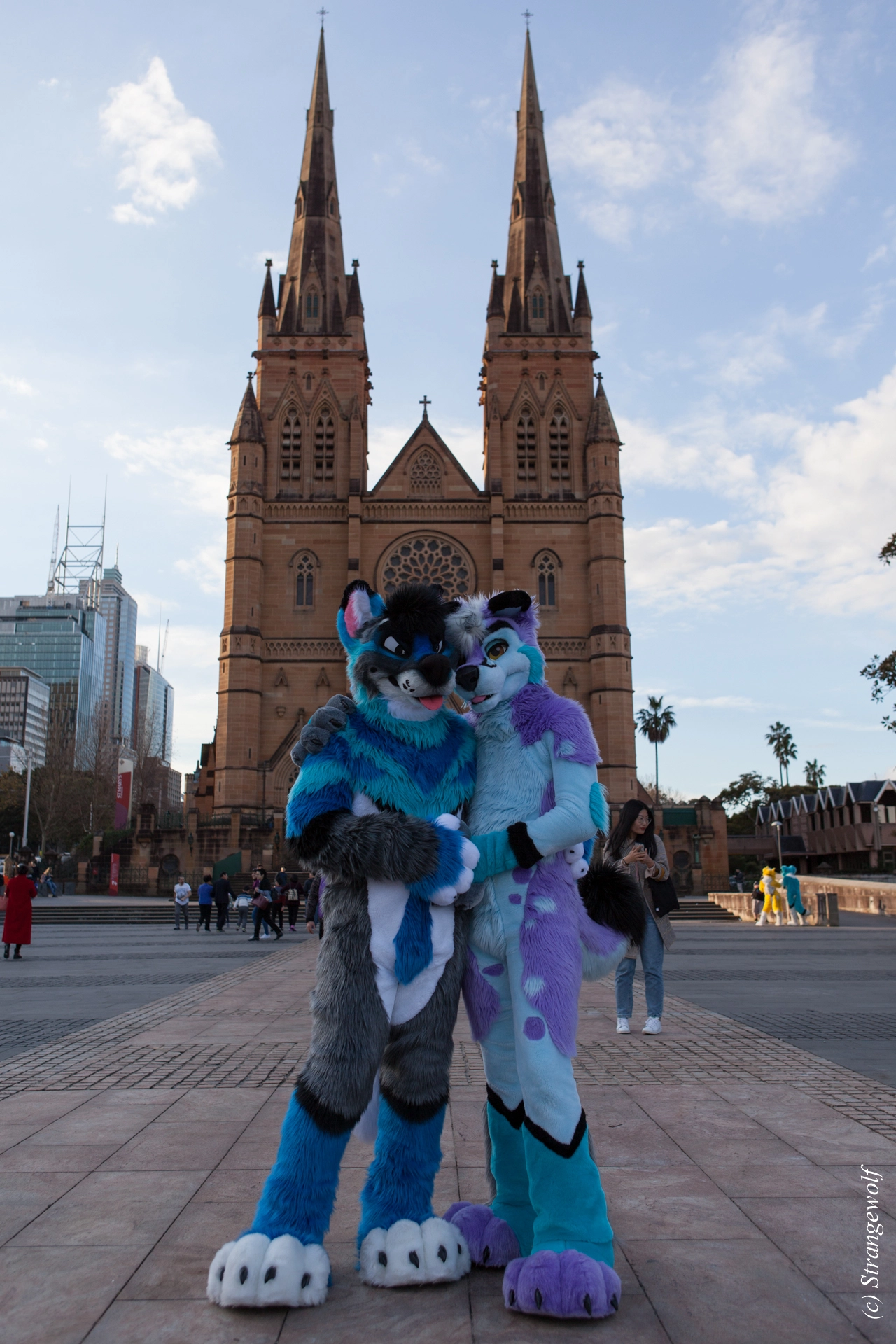 full image IMG_4634-lr19t.jpg