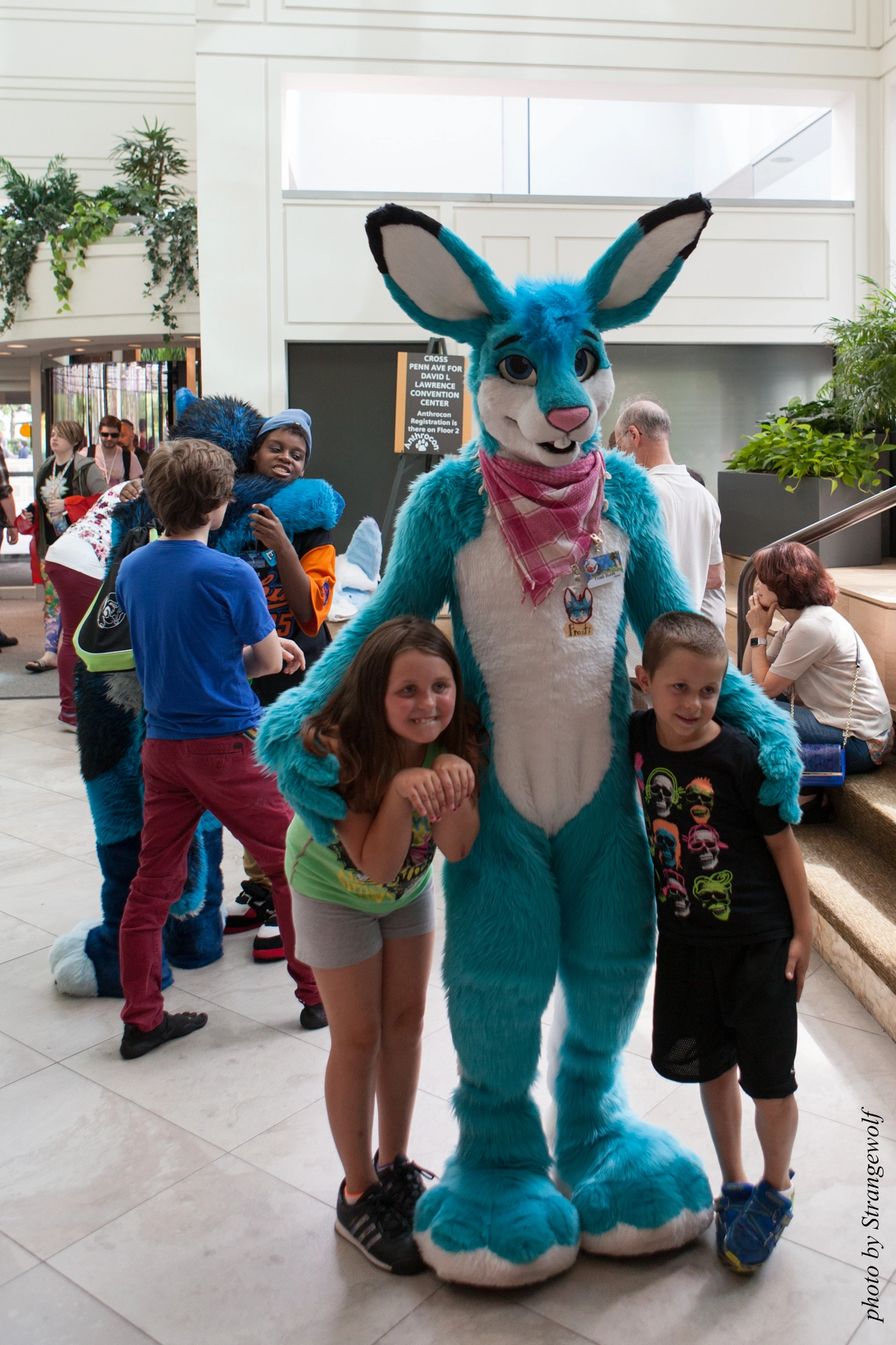 full image IMG_4647-lr19t.jpg