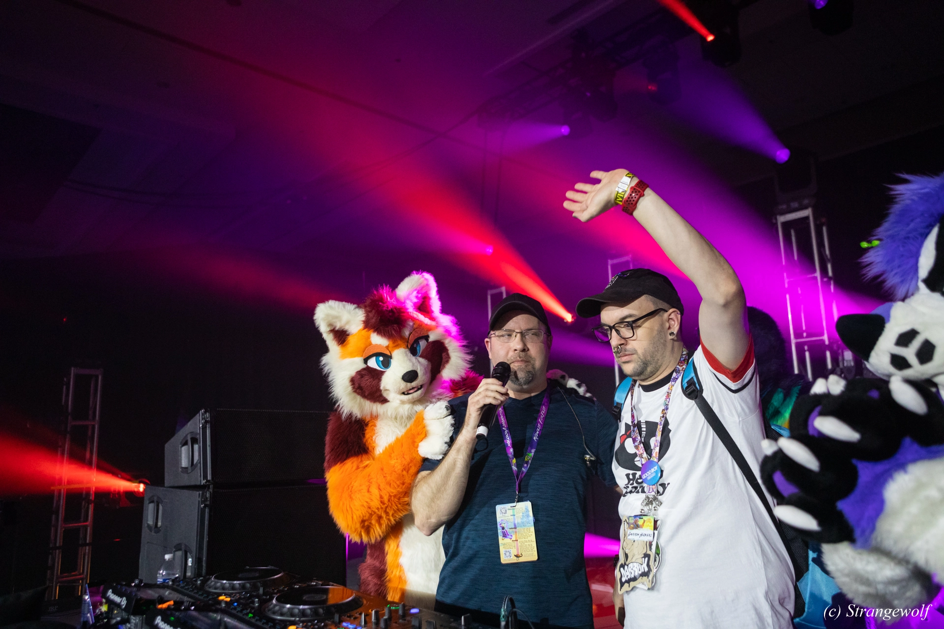 full image 1R3A0916-lr19t.jpg