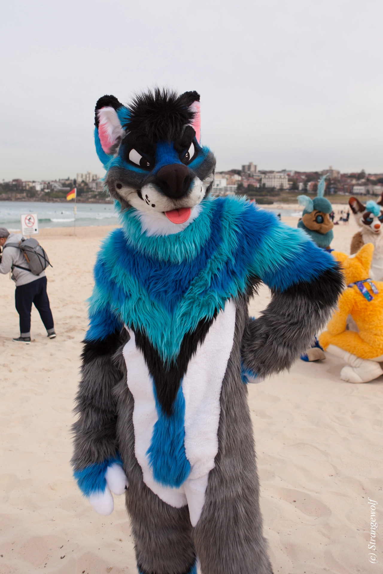 full image IMG_4473-lr19t.jpg