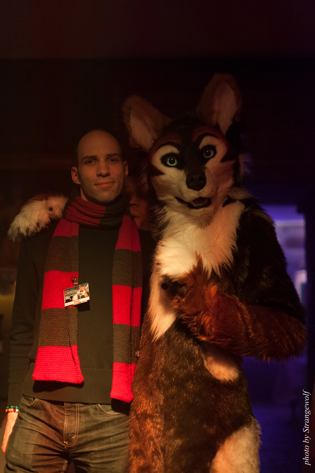 full image IMG_5419-lr16t.jpg