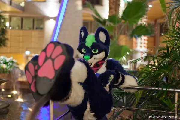 IMG_1875-lr16t.jpg of NFC/NFC2017/