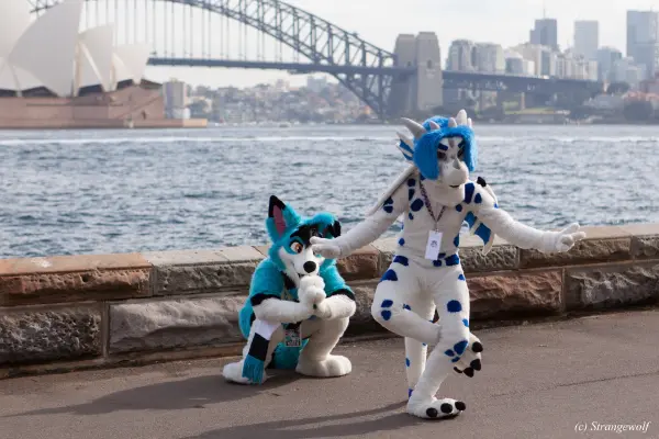 IMG_4338-lr19t.jpg of HCFC/HCFC2019/