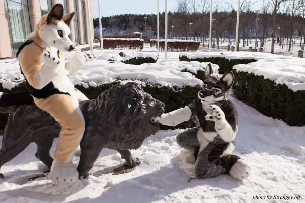 IMG_9602-lr19t.jpg of NFC/NFC2018/