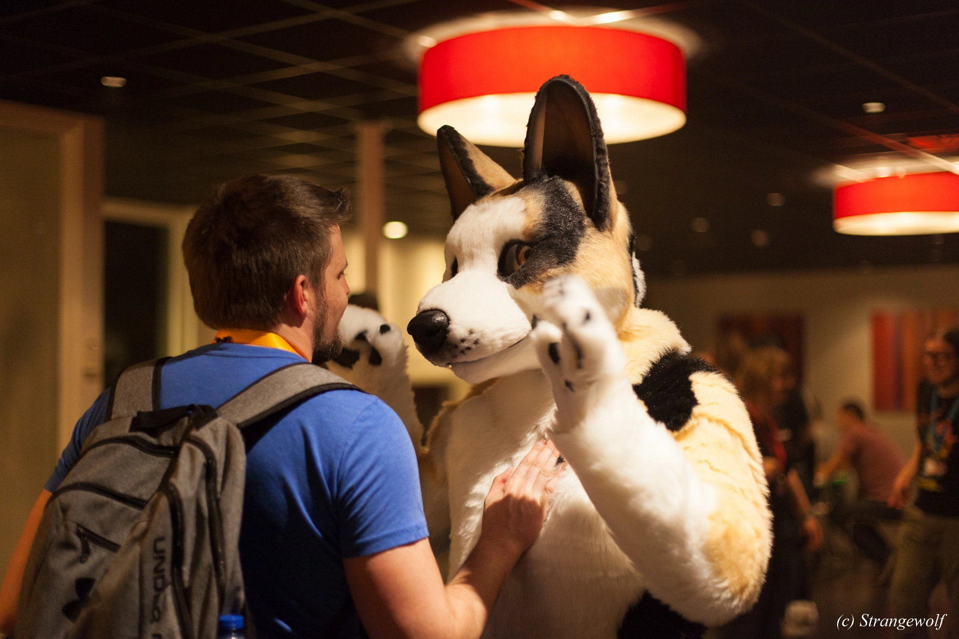 full image IMG_6377-lr19t.jpg