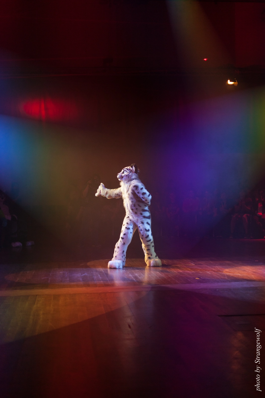 full image IMG_2581-lr16t.jpg