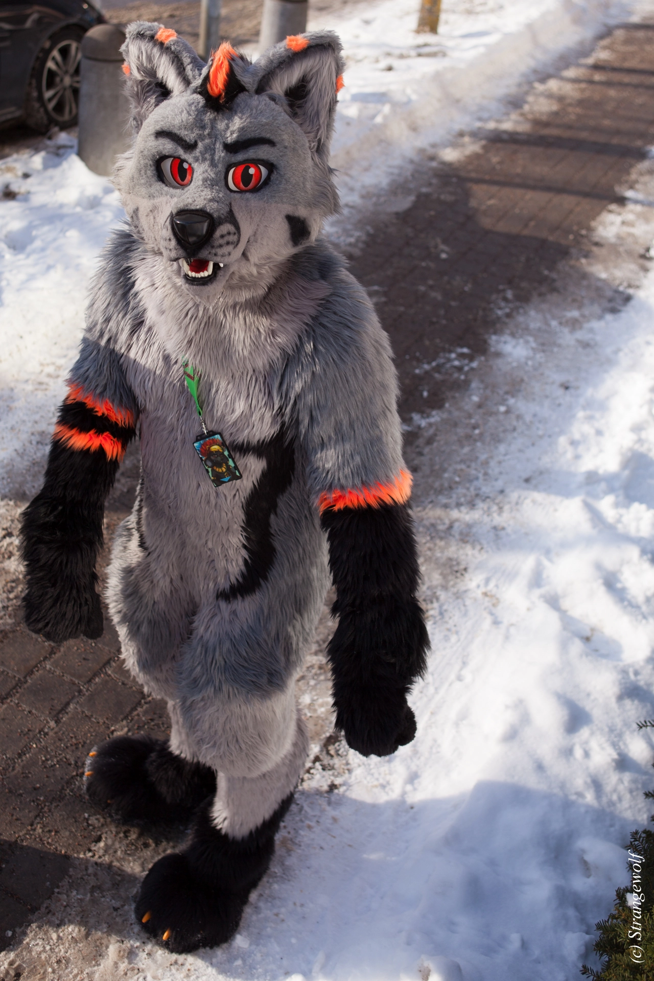 full image IMG_9867-lr19t.jpg