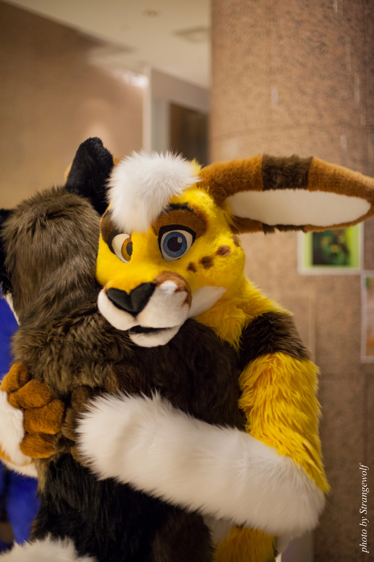 full image IMG_9356-lr19t.jpg