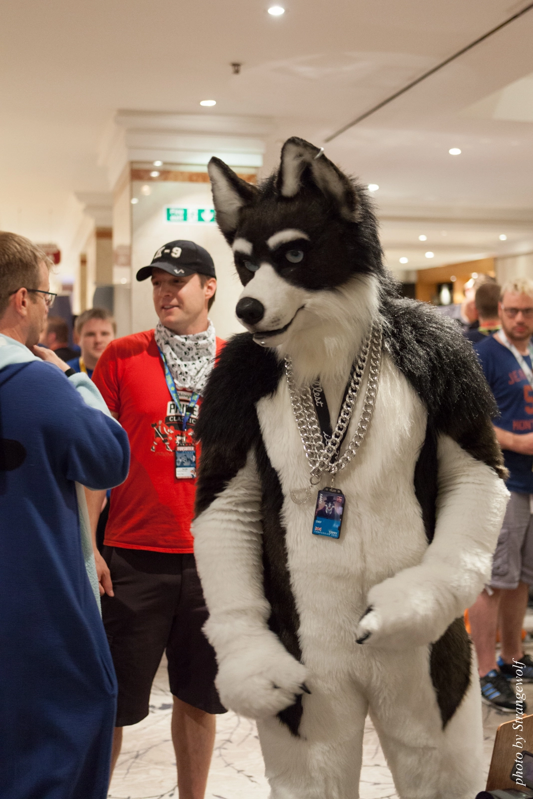 full image IMG_7311-lr16t.jpg