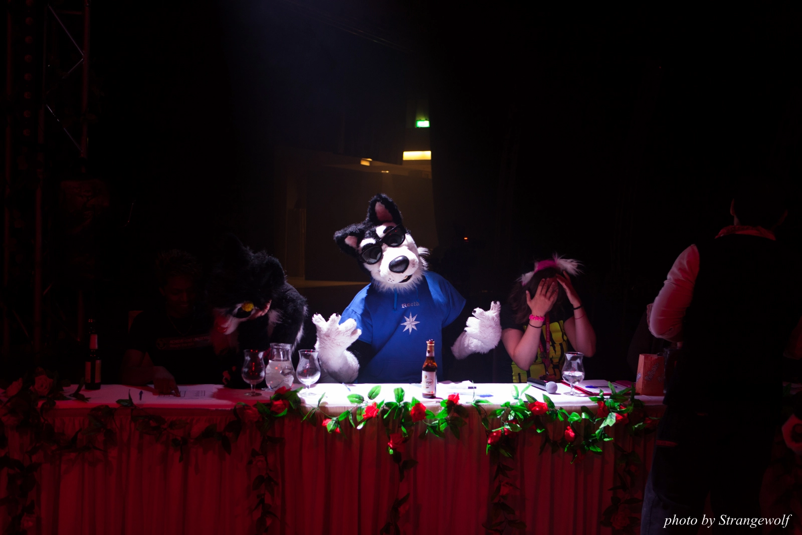 full image IMG_2340-lr16t.jpg