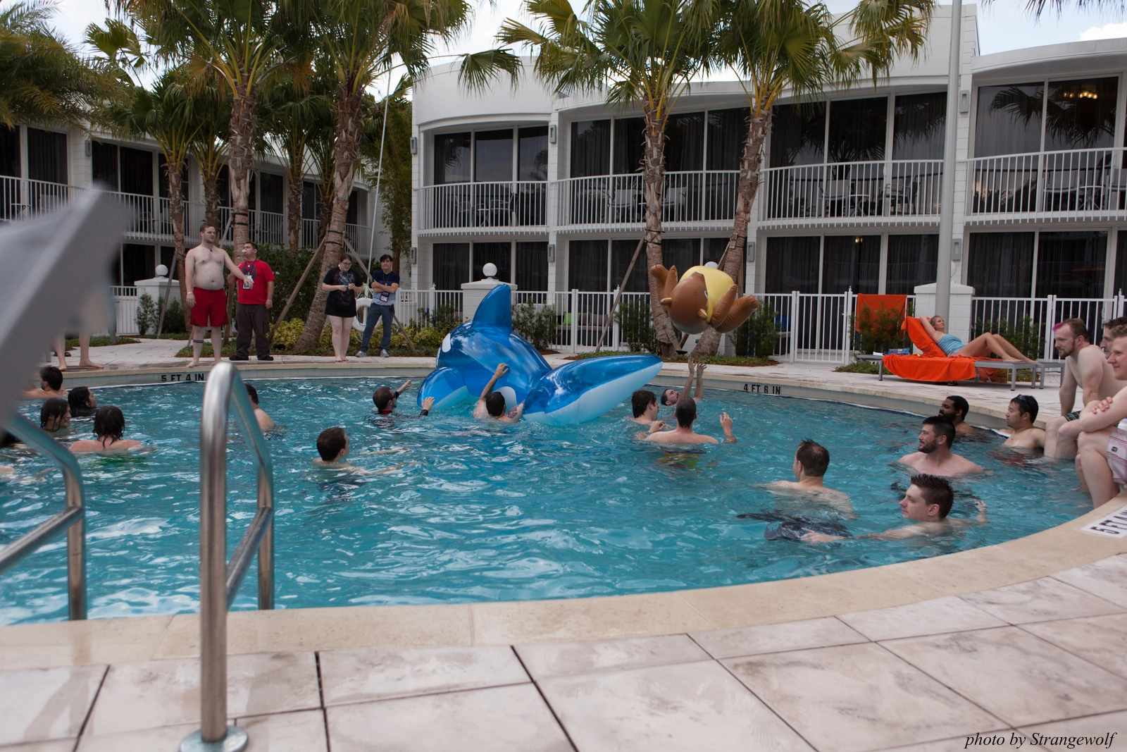 full image IMG_8309-lr16t.jpg