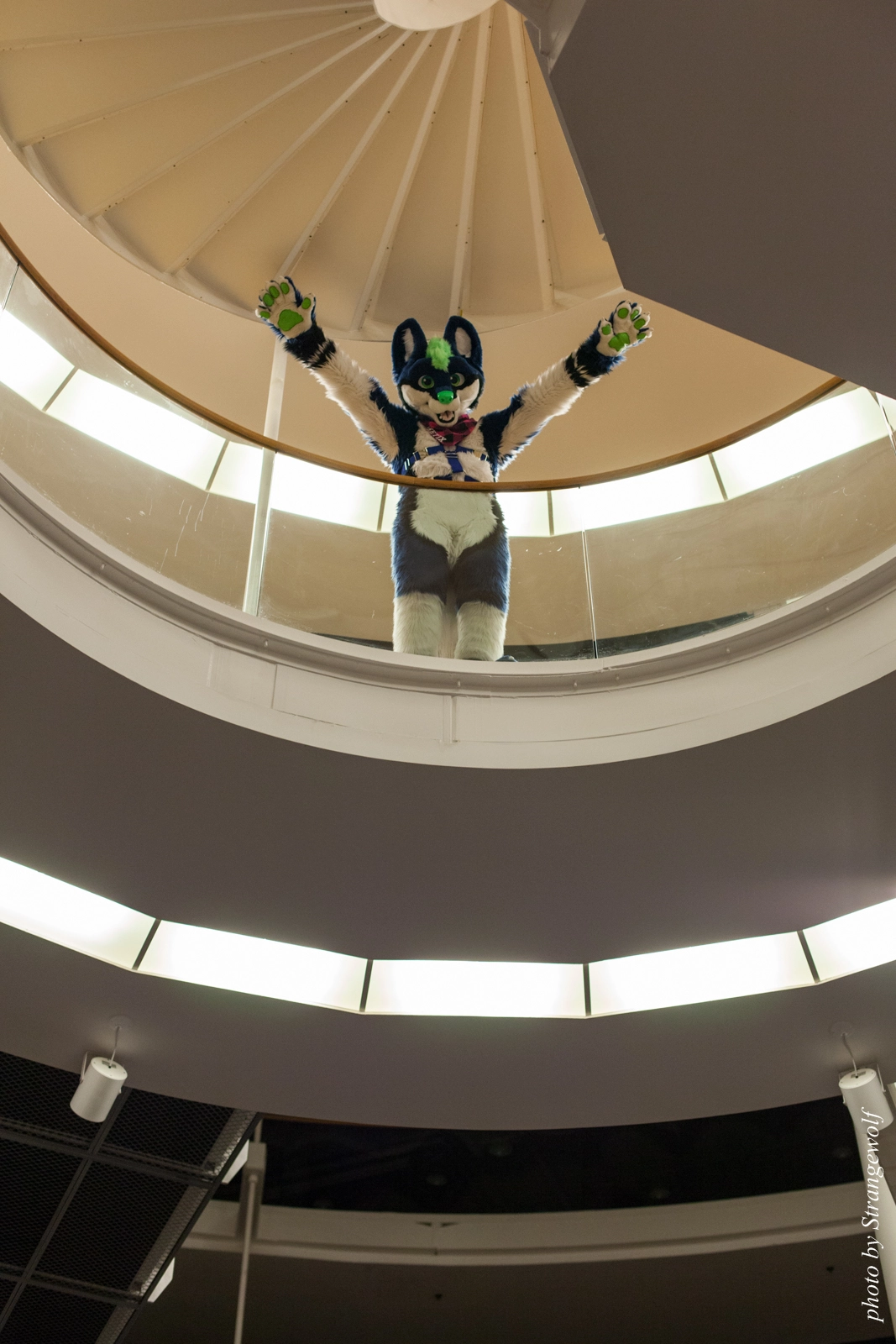 full image IMG_1889-lr16t.jpg