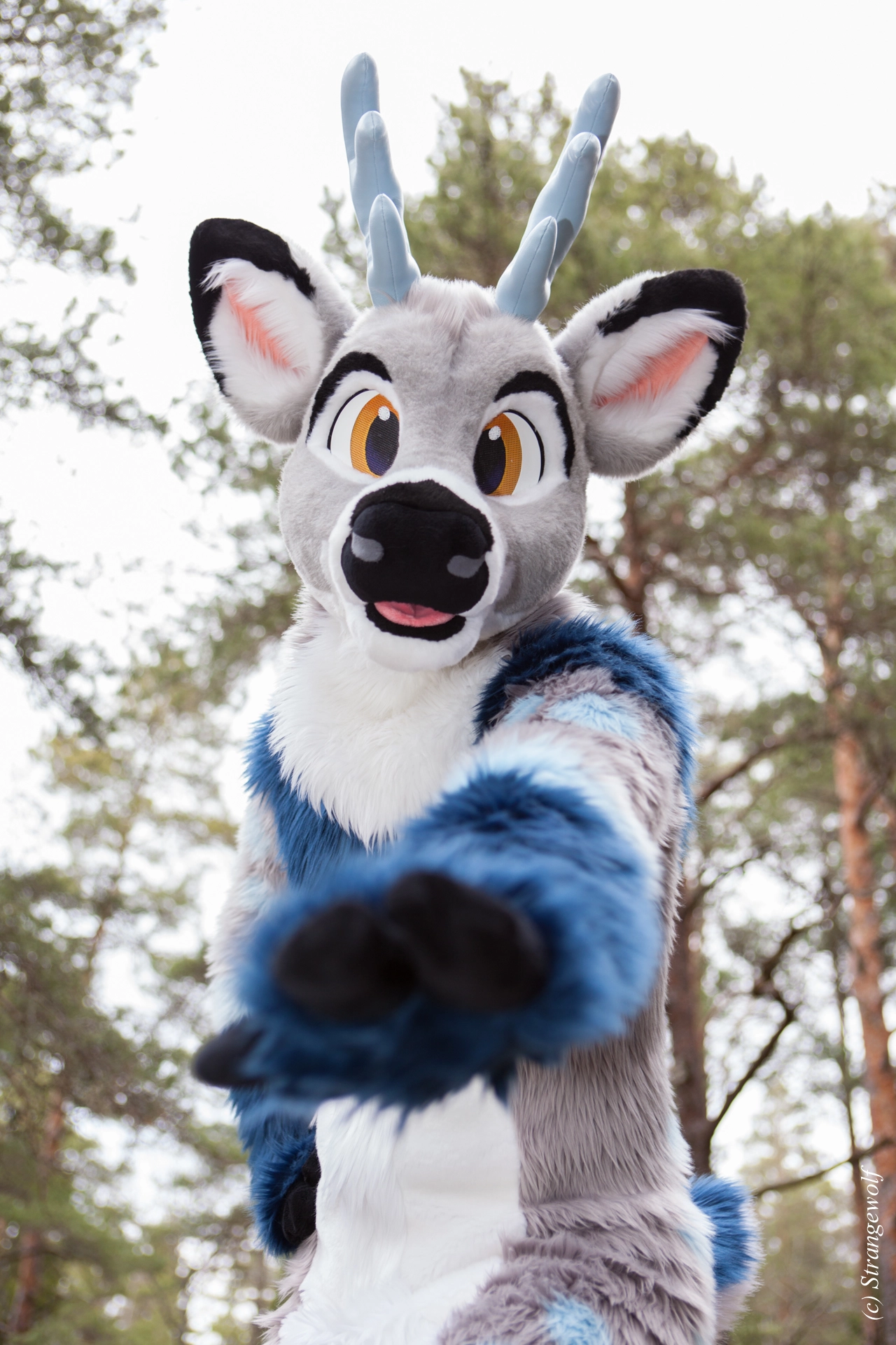 full image IMG_8625-lr19t.jpg