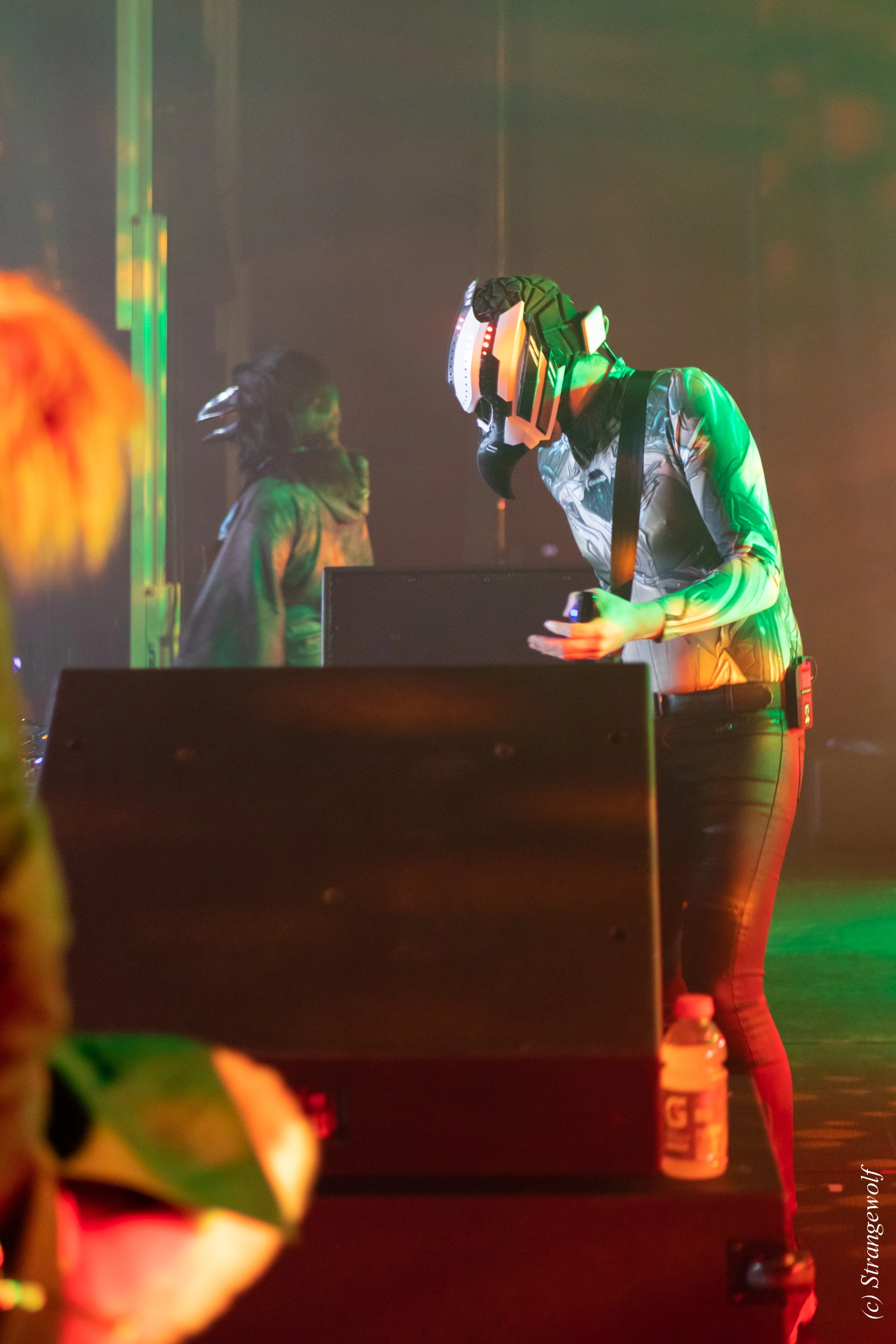 full image 1R3A4638-lr19t.jpg