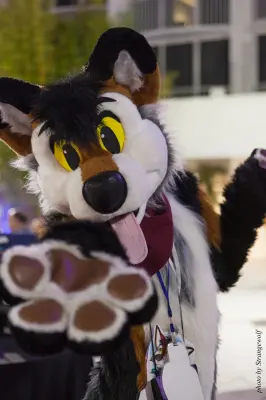 IMG_8532-lr16t.jpg of ESG/ESG2015/