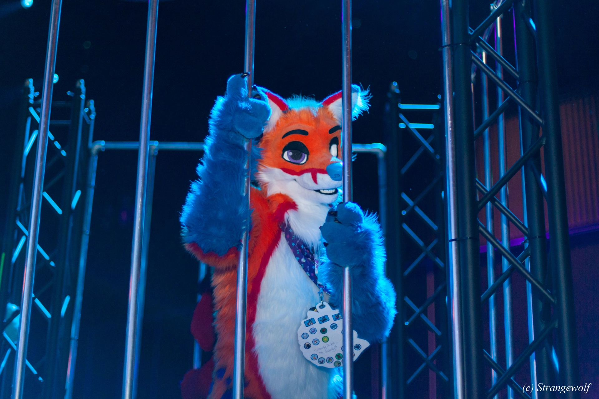 full image IMG_9272-lr19t.jpg