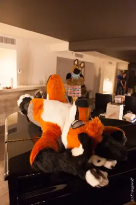 IMG_2254-lr19t.jpg of FWA/FWA2018/