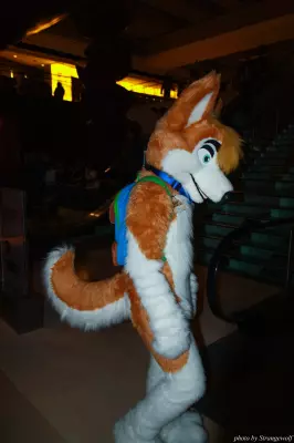 IMG_1178-lr.jpg of MFF/MFF2013/