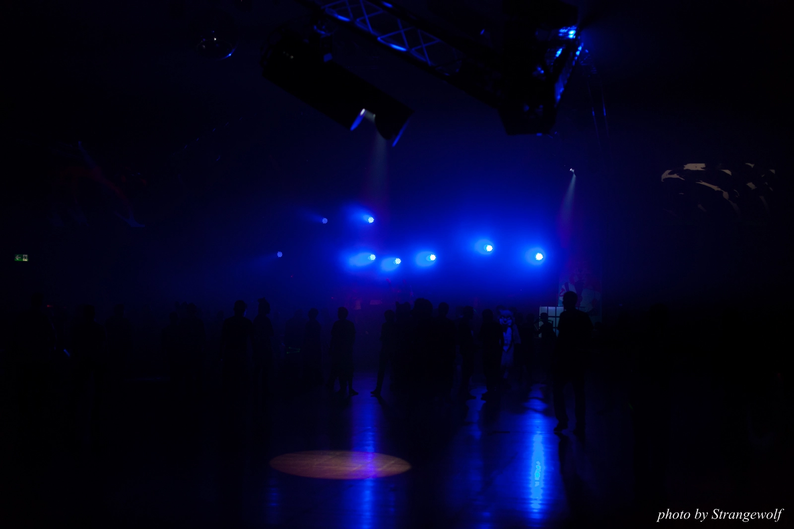 full image IMG_0303-lr16t.jpg