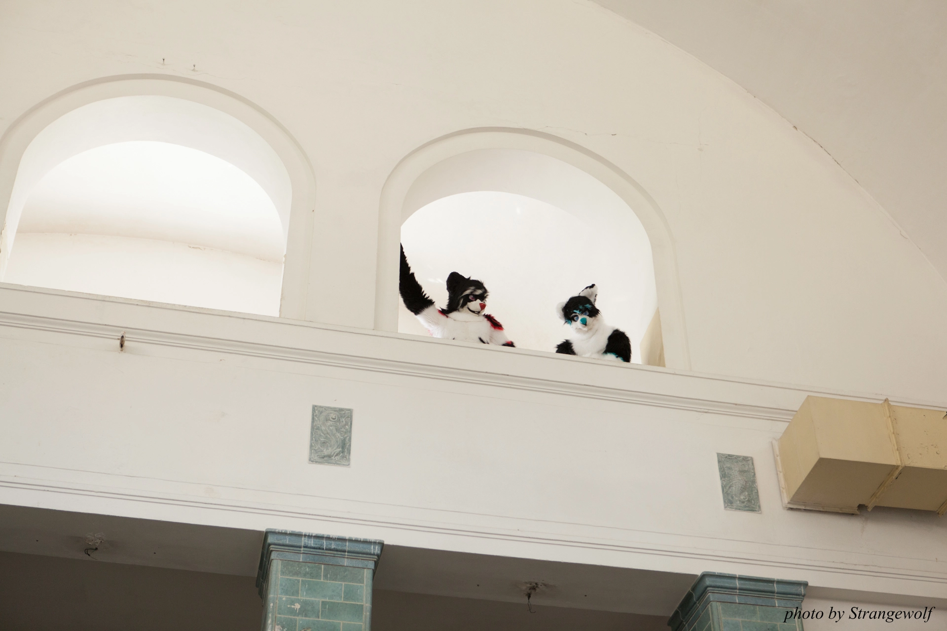full image IMG_6048-lr19t.jpg