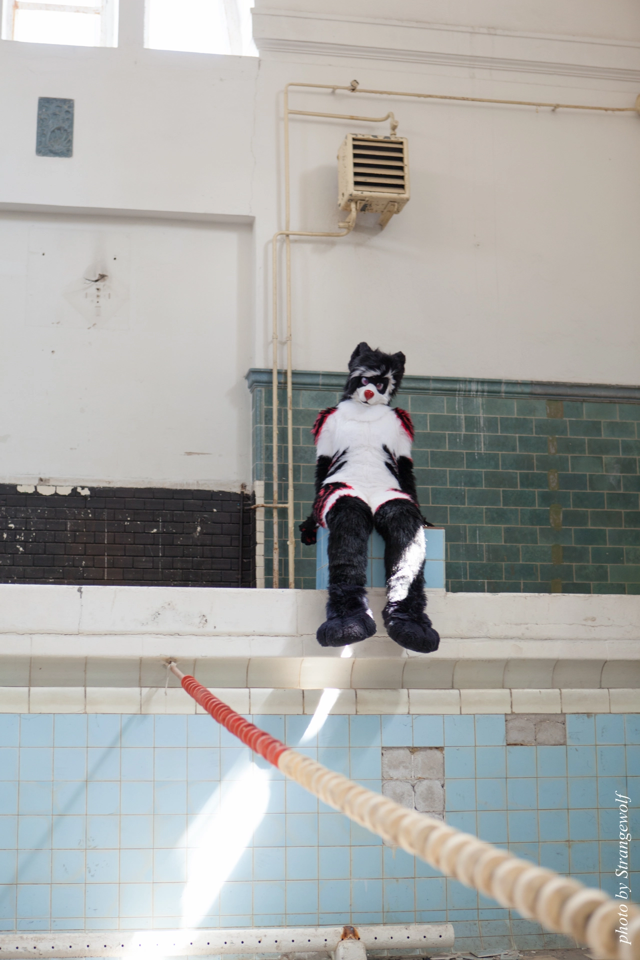 full image IMG_6001-lr19t.jpg