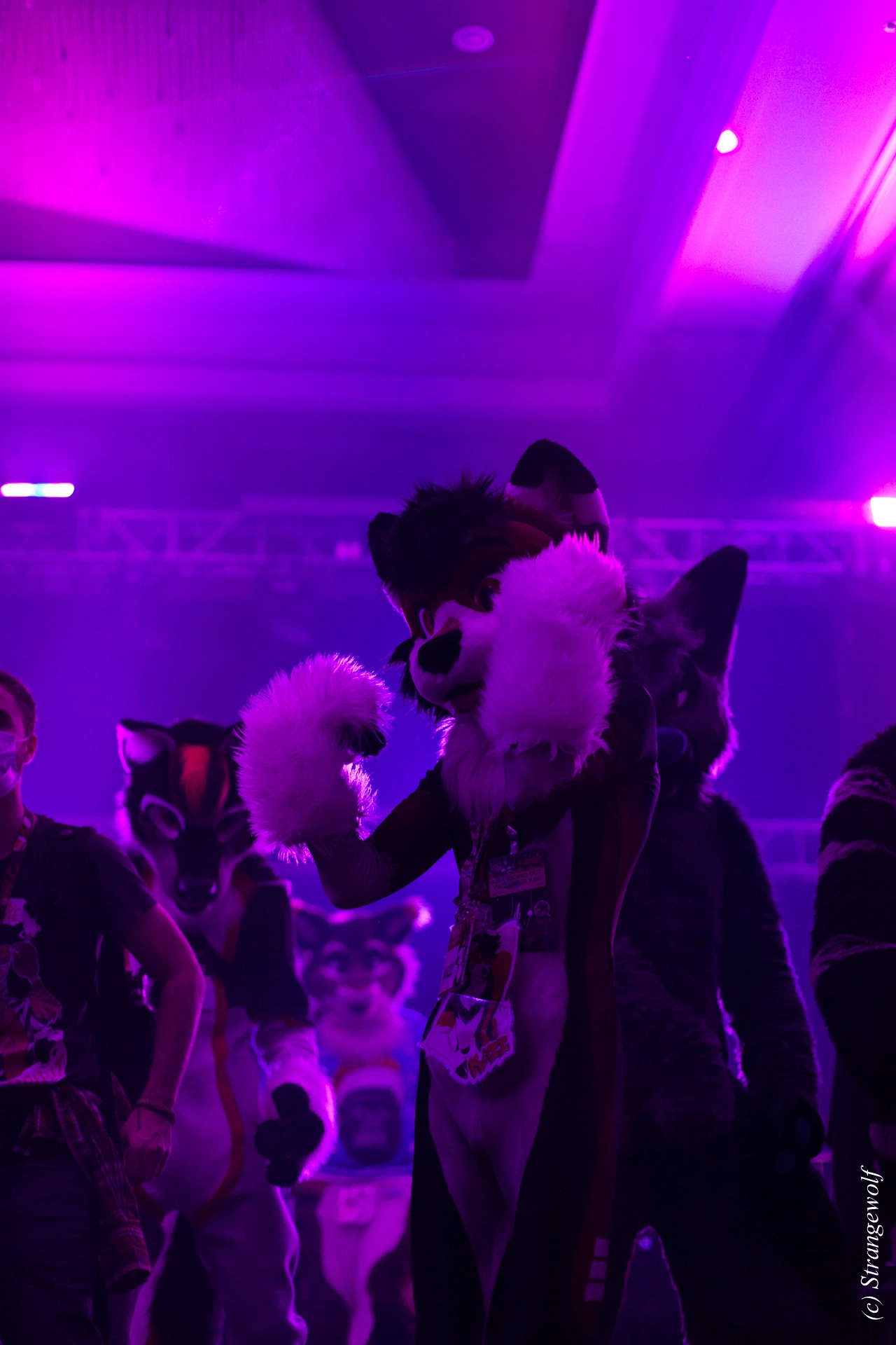 full image IMG_1329-lr19t.jpg