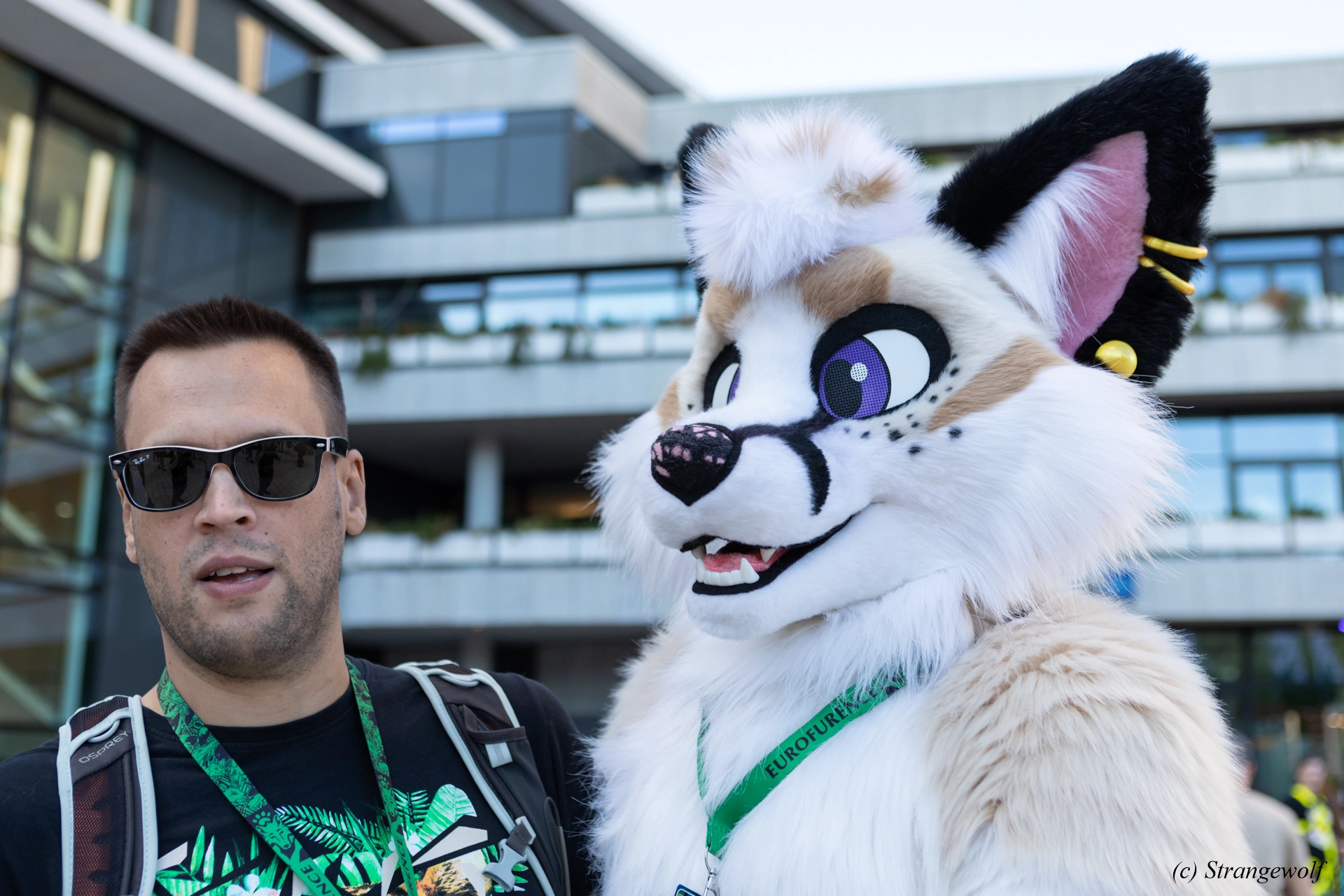 full image 1R3A9344-lr19t.jpg