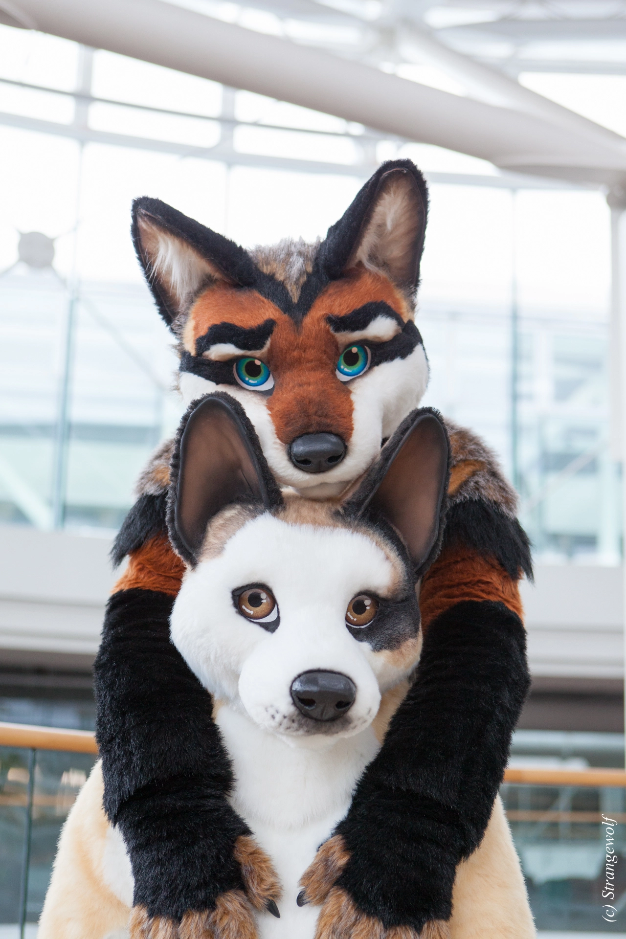 full image IMG_0504-lr19t.jpg