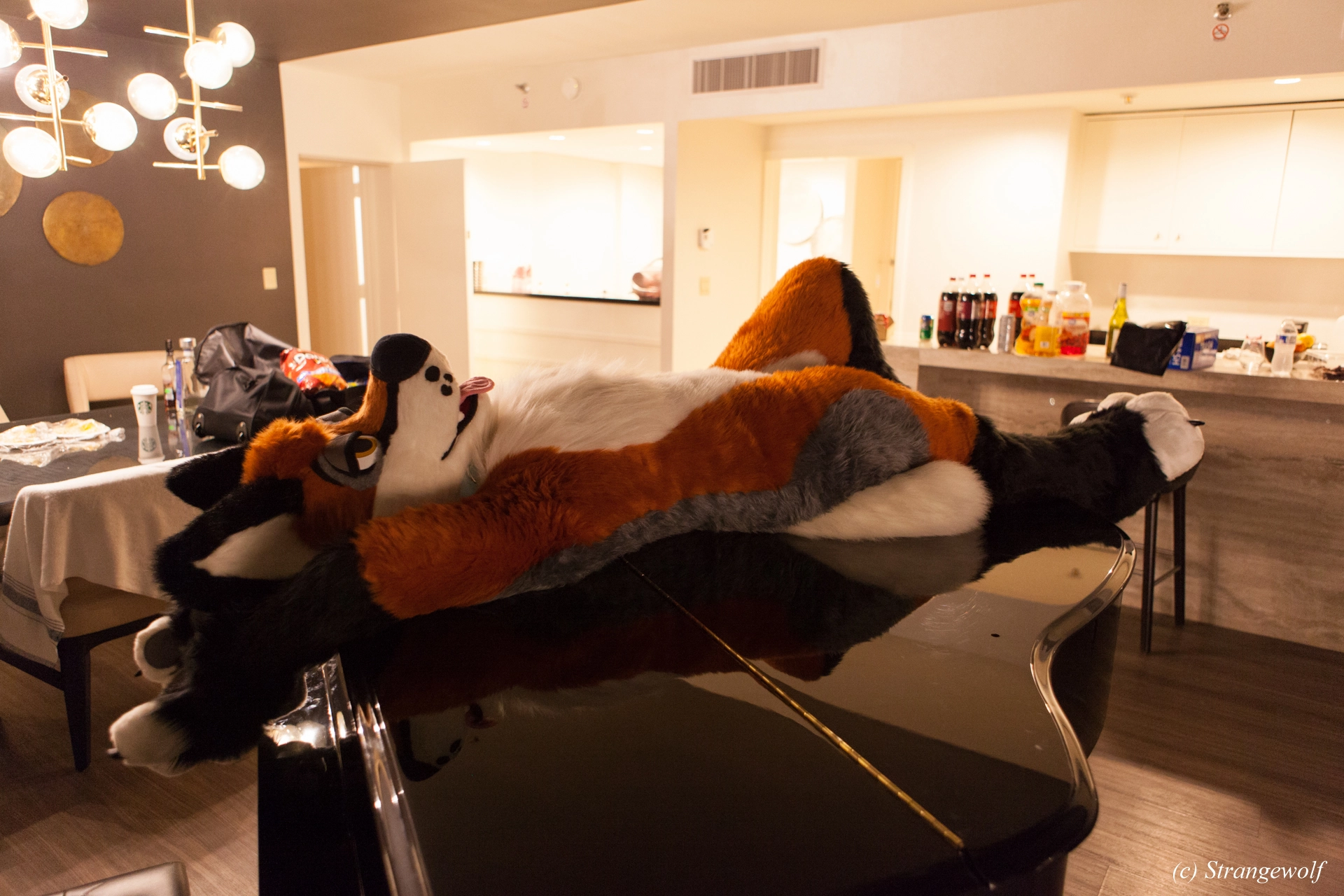 full image IMG_2247-lr19t.jpg