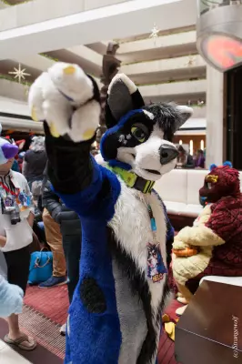 IMG_7046-lr19t.jpg of MFF/MFF2018/
