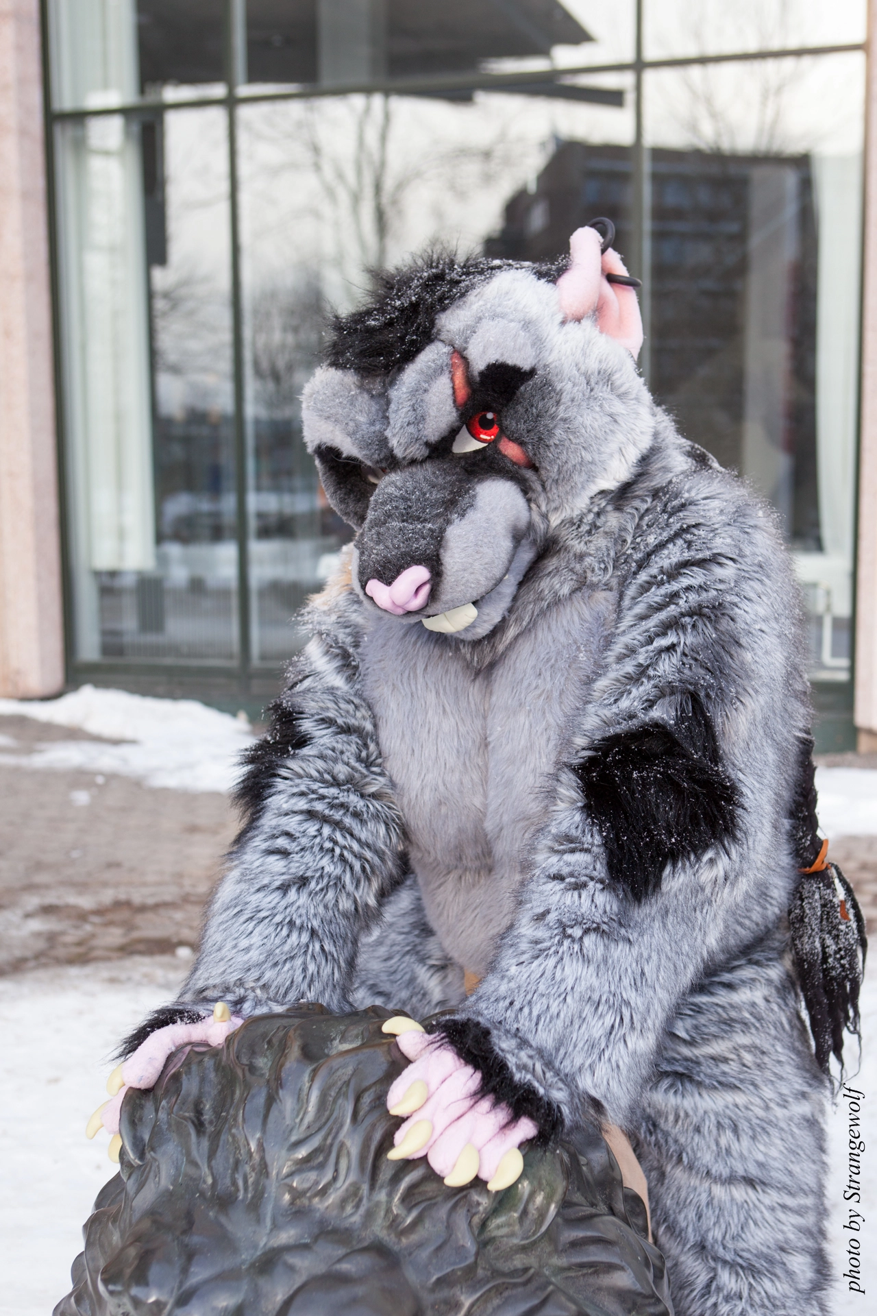 full image IMG_0369-lr19t.jpg