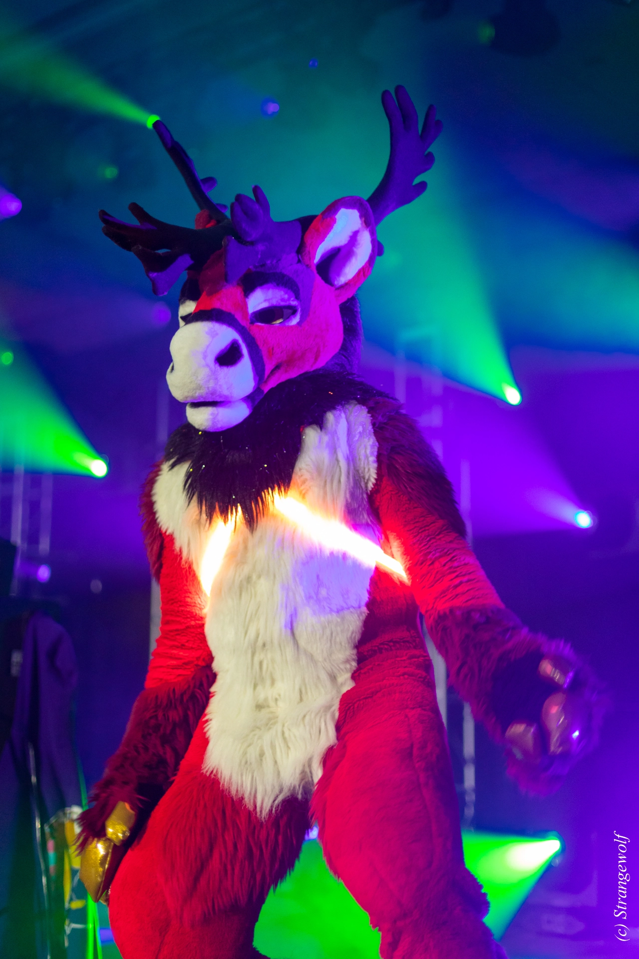 full image 1R3A0596-lr19t.jpg