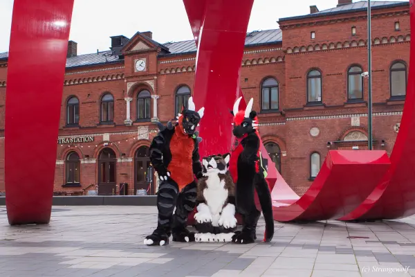 IMG_8983-lr19t.jpg of NFC/NFC2020/